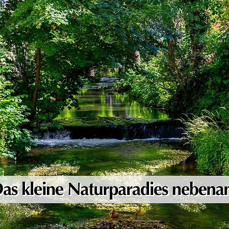 Stadtperle Am Plaetschernden Wasser - 50M2 2R Malerische Fewo In Top Lage Erfurt Exteriér fotografie