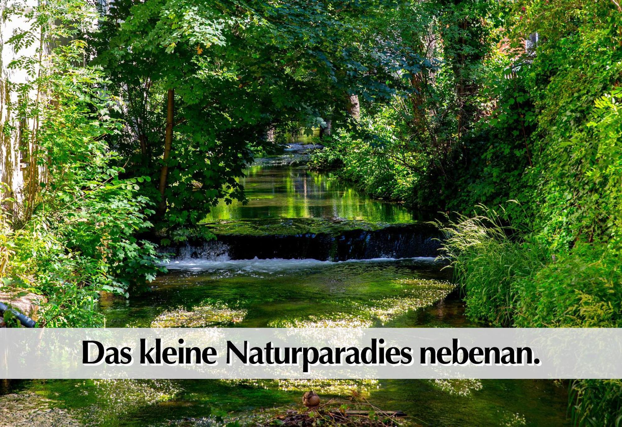Stadtperle Am Plaetschernden Wasser - 50M2 2R Malerische Fewo In Top Lage Erfurt Exteriér fotografie